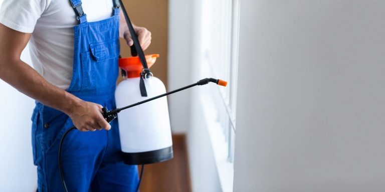 Reasons why the professional company is best for home pest control