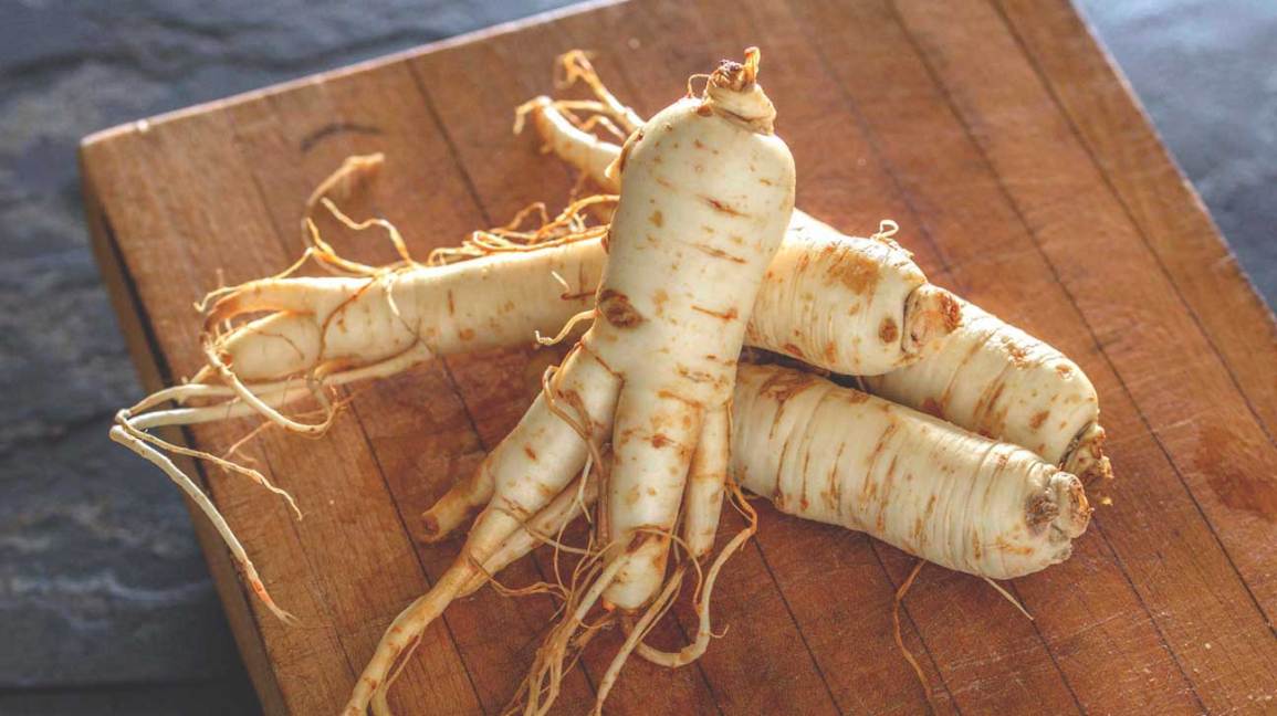 Ginseng Benefits for Health