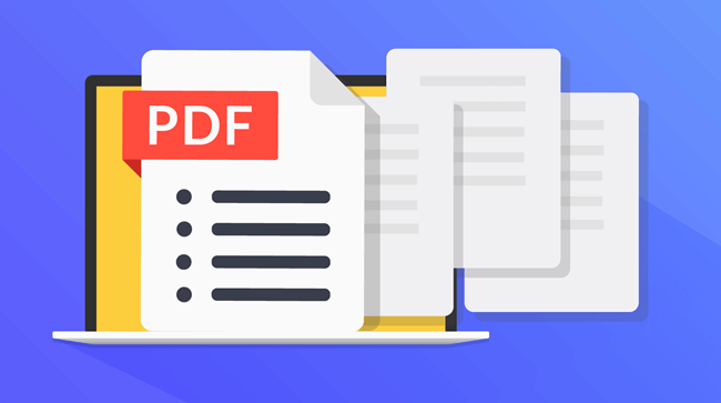 What are the advantages of PDF?