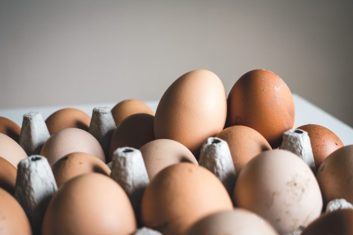 are broiler eggs good for your health or not?