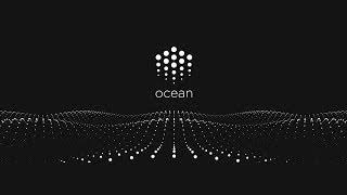What are Ocean Protocol and Tokens?
